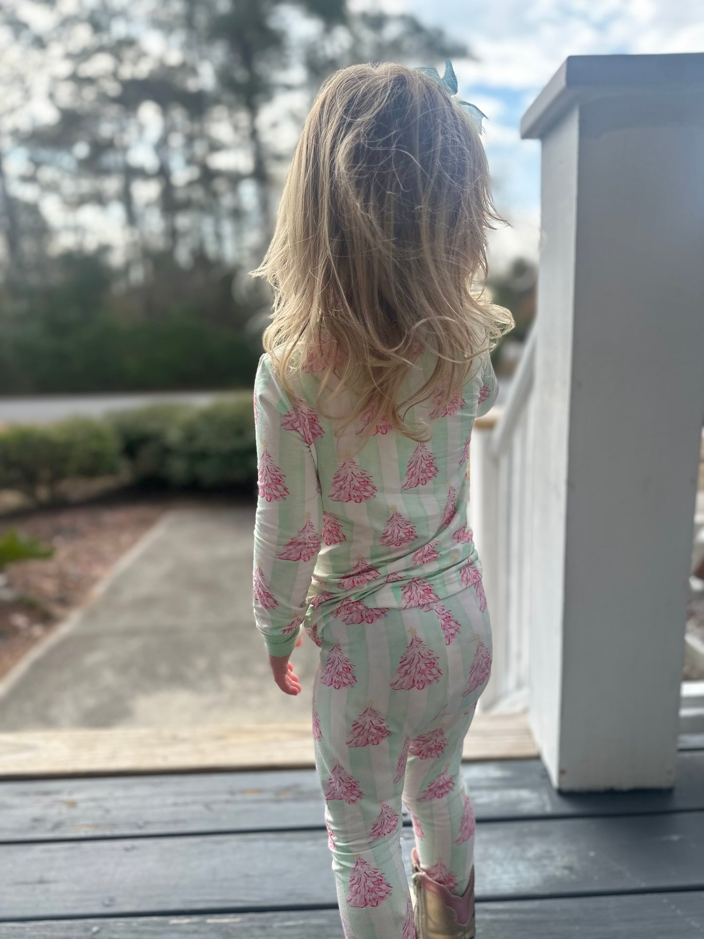 Charlotte's Christmas